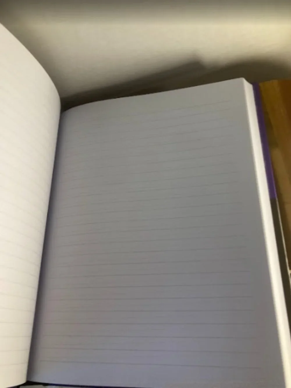 Wednesday Nightshade Society Journal